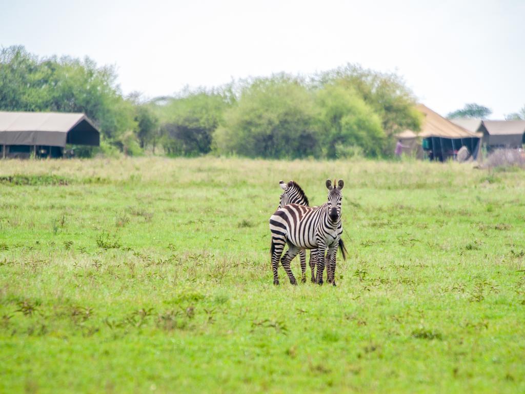 Kananga Special Tented Camp Banagi Exterior photo